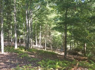 52 Wyatt Andrew Dr, Mills River, NC 28759