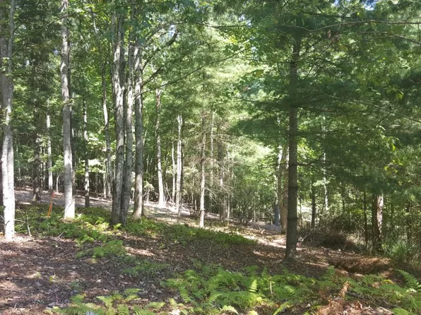 52 Wyatt Andrew Dr, Mills River, NC 28759