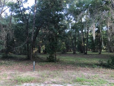 401 Blackberry Ln NE, Townsend, GA, 31331
