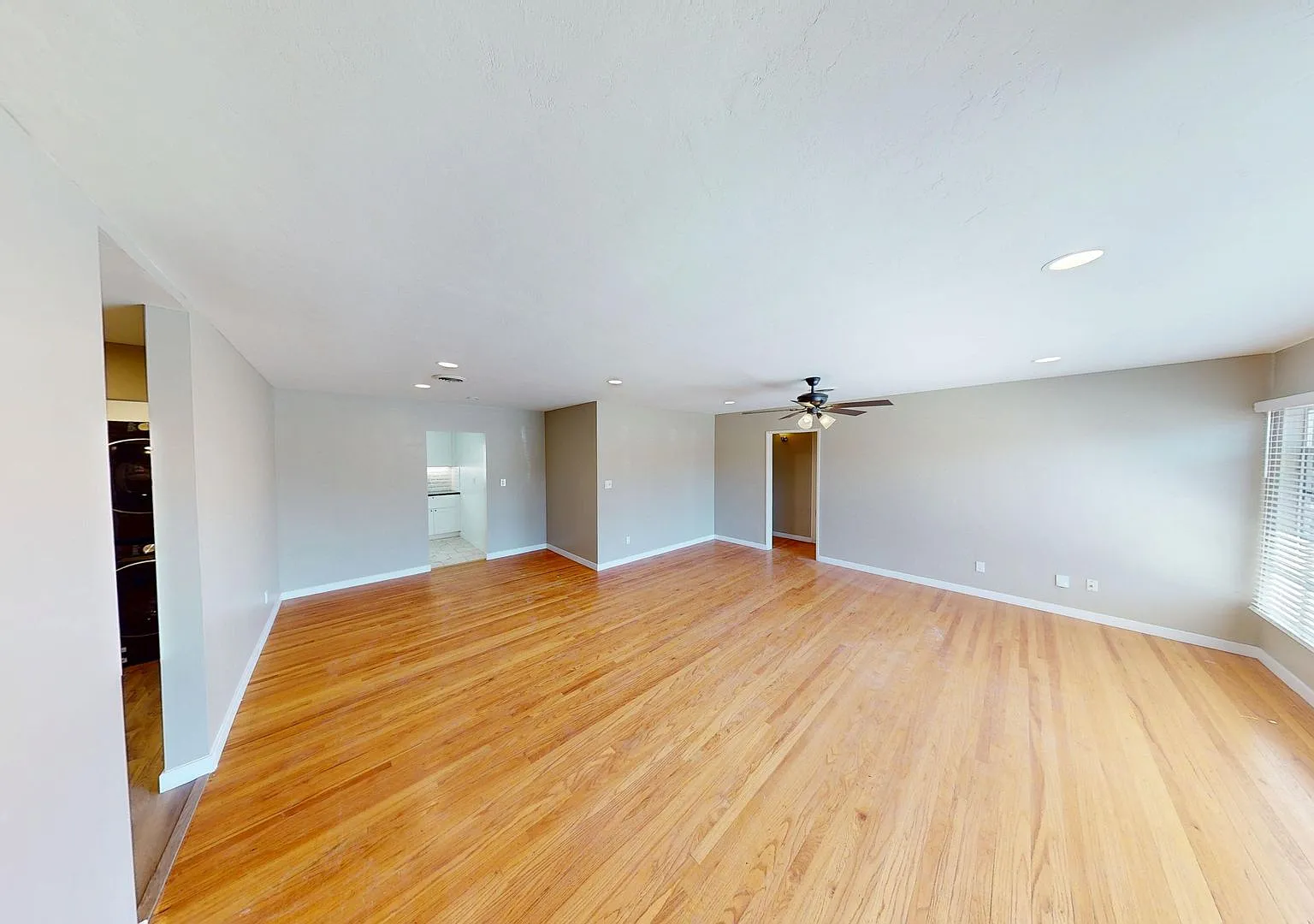 Remodeled in 2026!! Large 5 Bedroom 3 Bathroom Home Near Campus — Photo 3