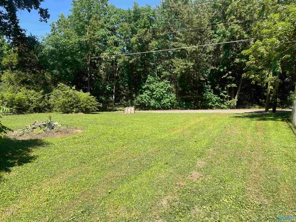 400 Roy Davis Rd, New Market, AL 35761