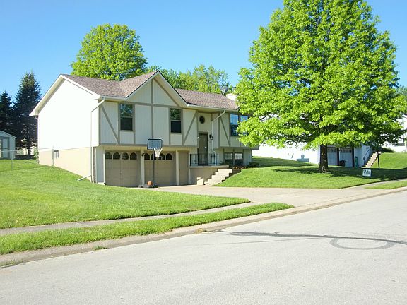 Beautiful Mature Trees