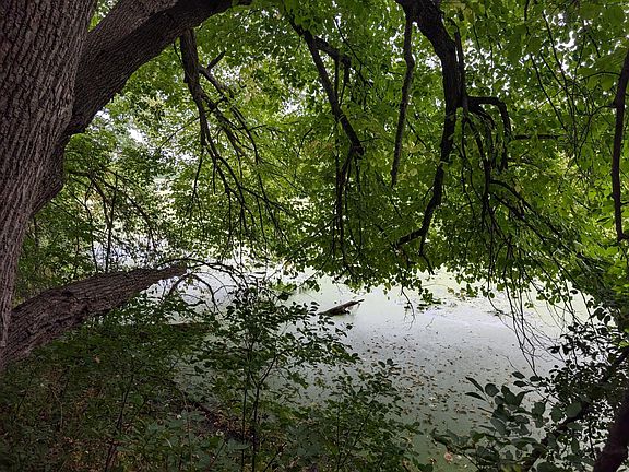 3rd image of E Birch Ave