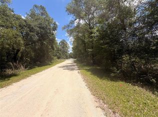 LOT 3 Chipstone St Lot 3, Webster, FL 33597