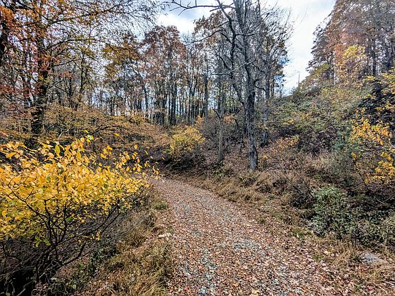 59th image of this home