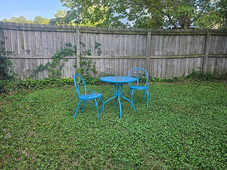 1309 Fisk Rd — Photo 47