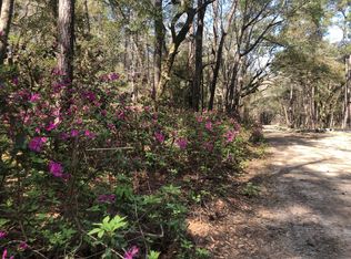 3868 Srevir St, Johns Island, SC 29455