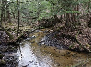 13384 Coates Hwy LOT WP001, Brethren, MI 49619