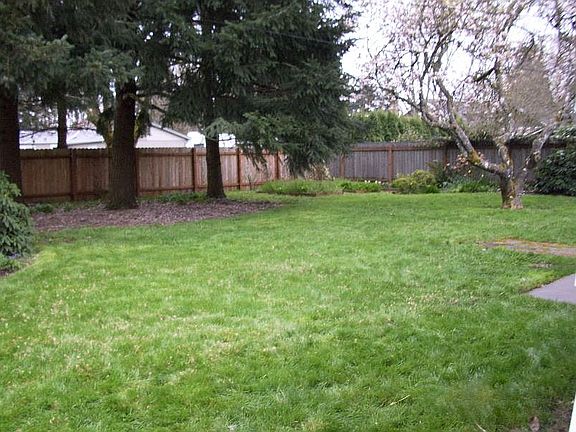 backyard from back fence