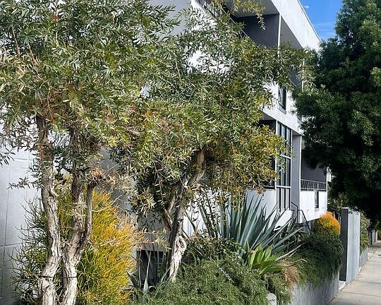 2nd image of 1400 N Fairfax Ave