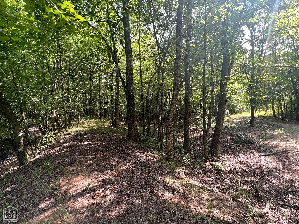 1 County Road 431, Pollard, AR 72456 | MLS #10106935 | Zillow