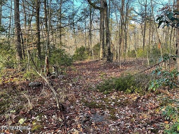 4th image of 435 Cumberland Cove Rd #1