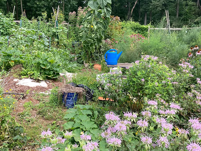 Owner's garden, tenant does not maintain this garden but there is often extra veggies or flowers. This is visible from kitchen window.