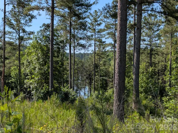 2134 Princeton Mountain #60, Connelly Springs, NC 28612