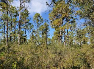 0 Pine Rd, Lee, FL 32059