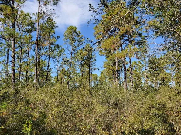 0 Pine Rd, Lee, FL 32059