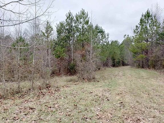 5th image of 0 County Road 187 Lot 6