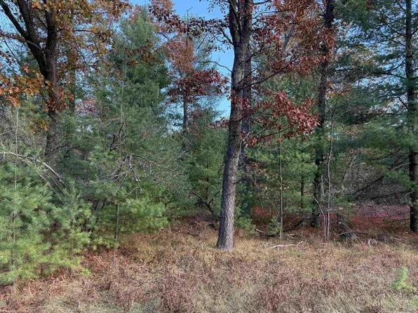 LOT 99 Wilderness Dr, Alger, MI 48610