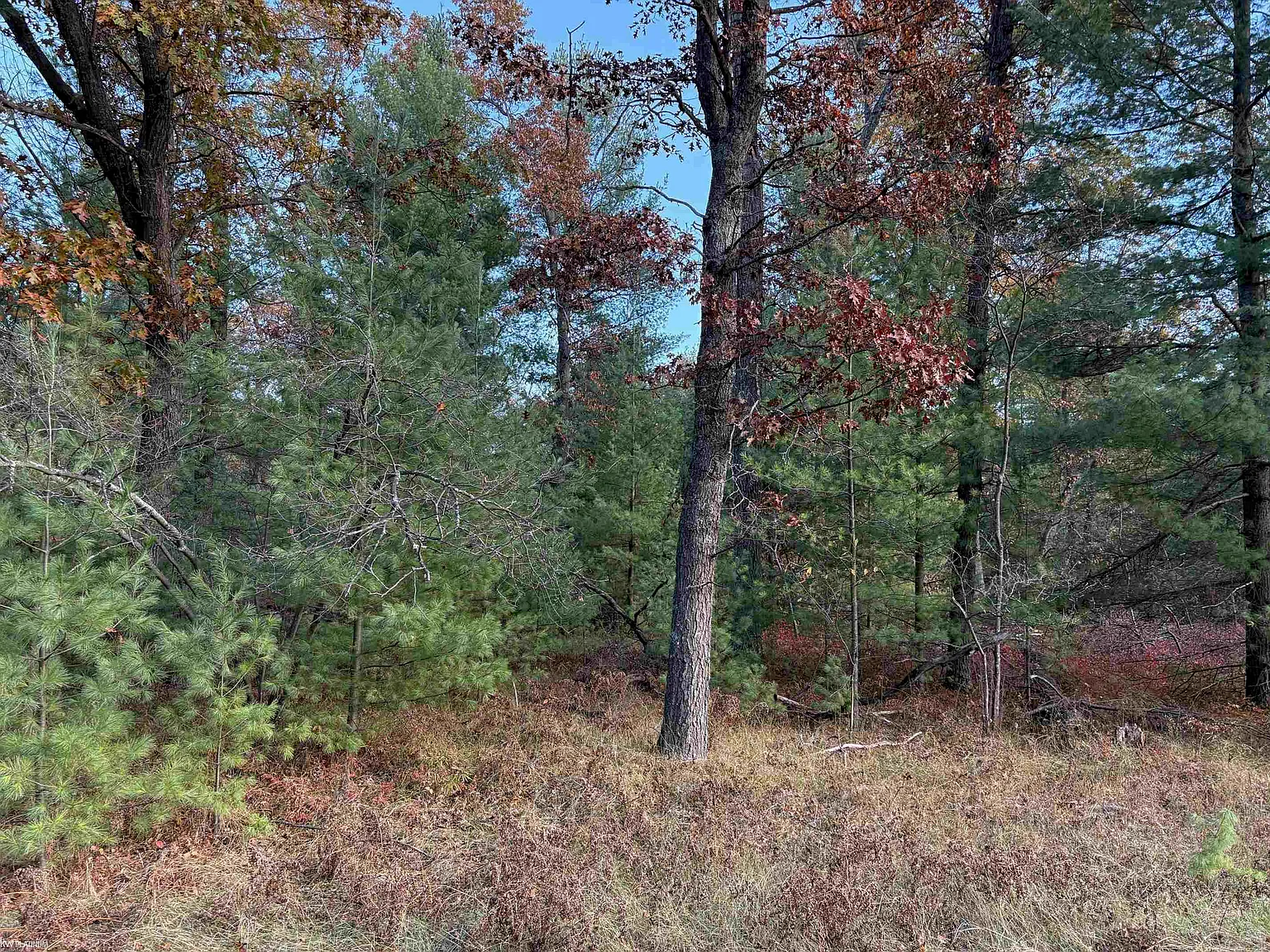 LOT 99 Wilderness Dr photo 1