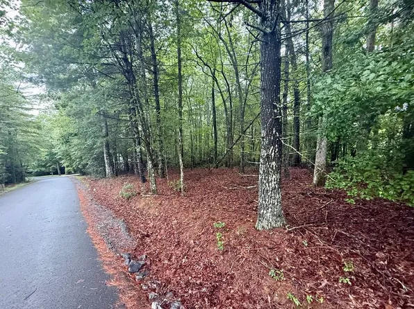 15 White Pine Dr, Hayesville, NC 28904