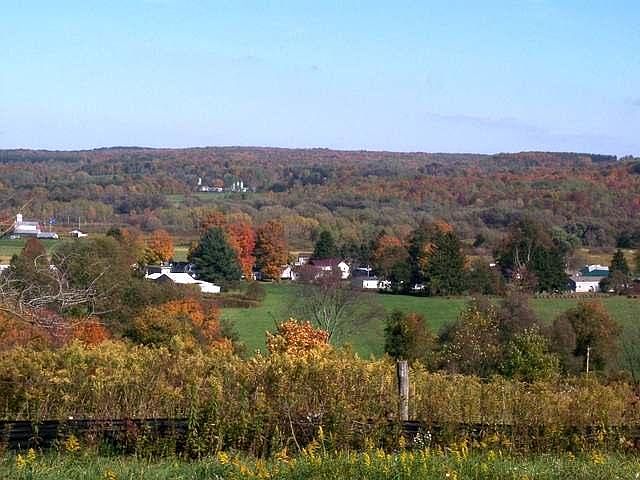 2nd image of 2 Maple