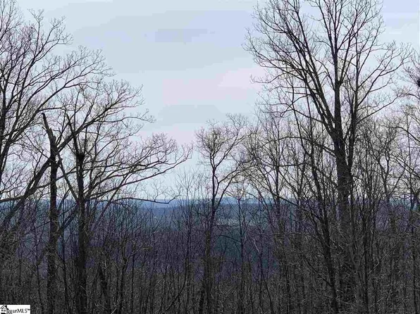 826 Raven Rd, Landrum, SC 29356