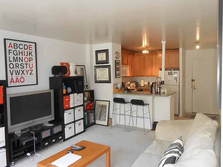 2800 N Lake Shore Dr #1311 — Photo 8