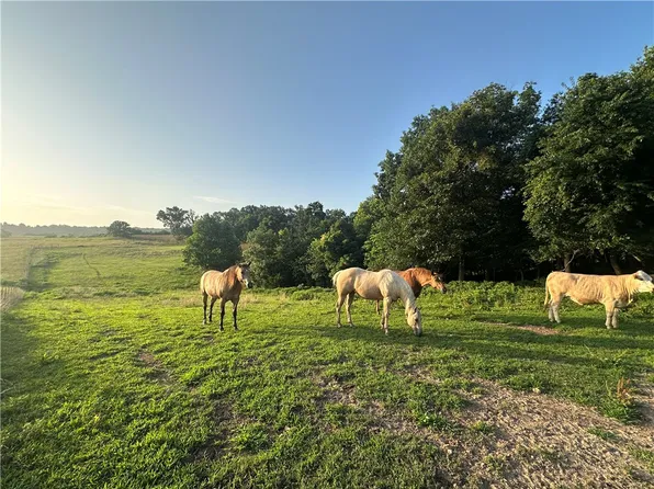 Madison 7615 Rd, Huntsville, AR 72740