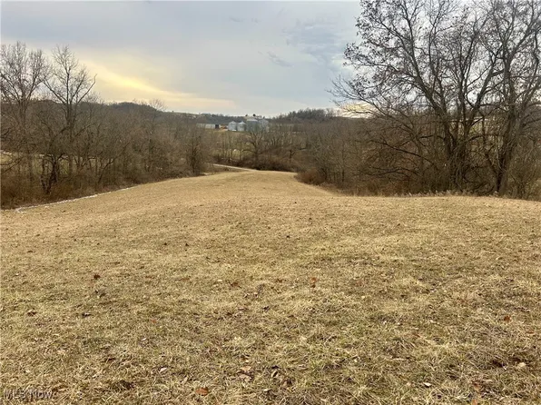 Sunflower Dr, New Concord, OH 43762
