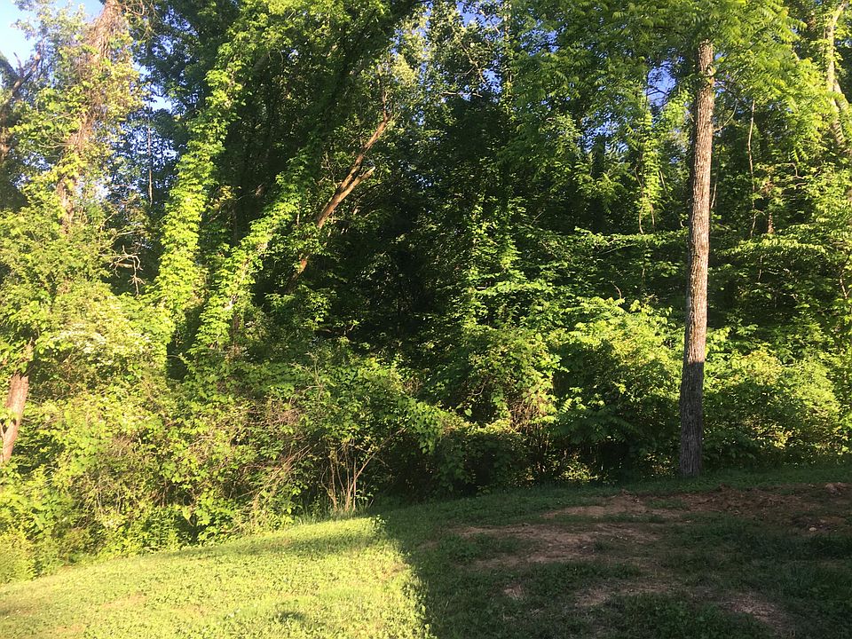 2nd image of Indian Ln