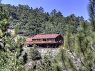 30 Robin Ln, Bailey, CO 80421