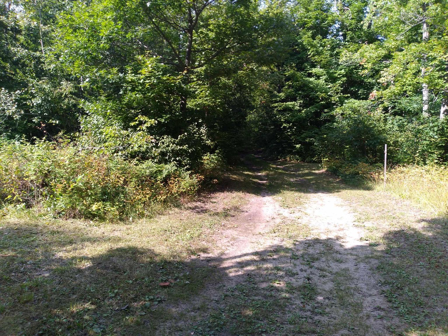 0 E Gogomain Rd, Pickford, MI 49774 Zillow