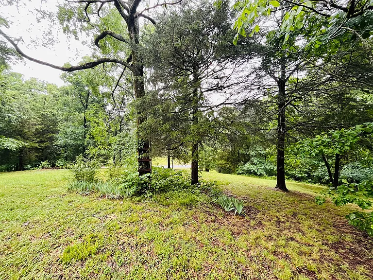 Partial View of Front Yard
