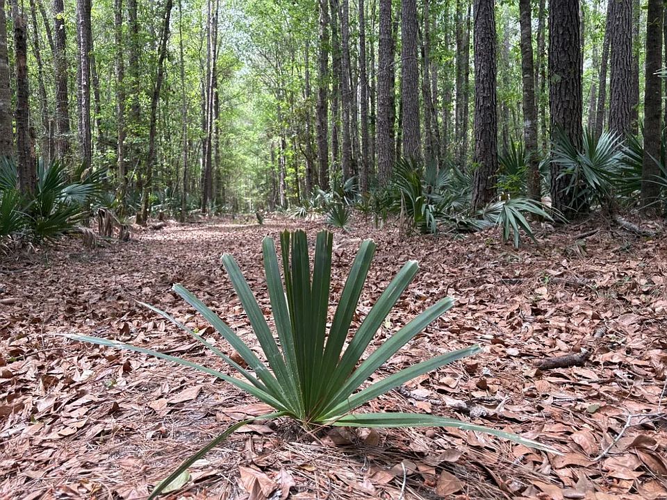 1st image of Unnamed Rd