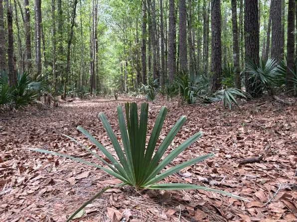 Unnamed Rd, Saratoga, TX 77585