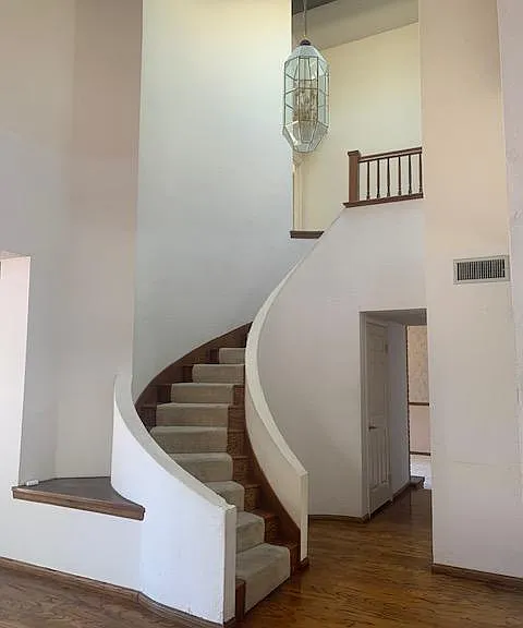 919 Correa Ln — Photo 3