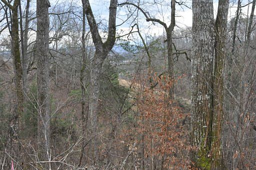 1st image of Hawks Nest Way