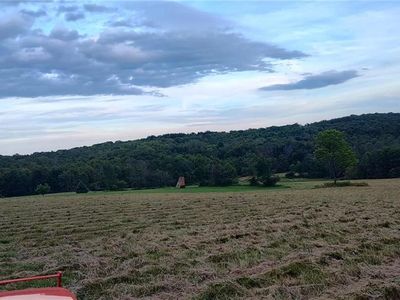 45 Kronus Rd, Erin, NY, 14838