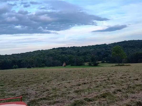 45 Kronus Rd, Erin, NY 14838