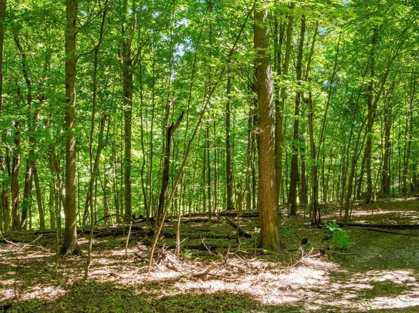 0 Canyon Rd, Granville, OH 43023