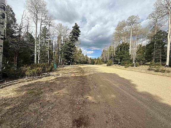 3rd image of Lot 13 Back Basin Rd