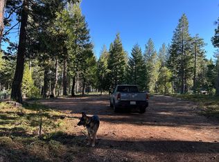 27782 Holiday Ln, Pioneer, CA 95666