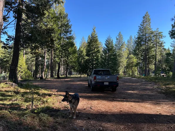 27782 Holiday Ln, Pioneer, CA 95666