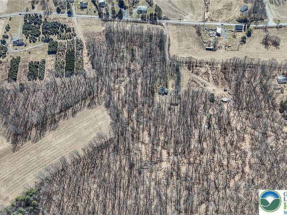 5th image of Back Rd