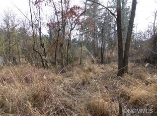 112 Busbee View Ln, Asheville, NC 28803