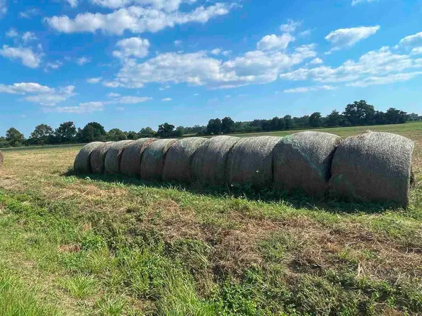 0 Greenwood Rd, Jay, FL 32565