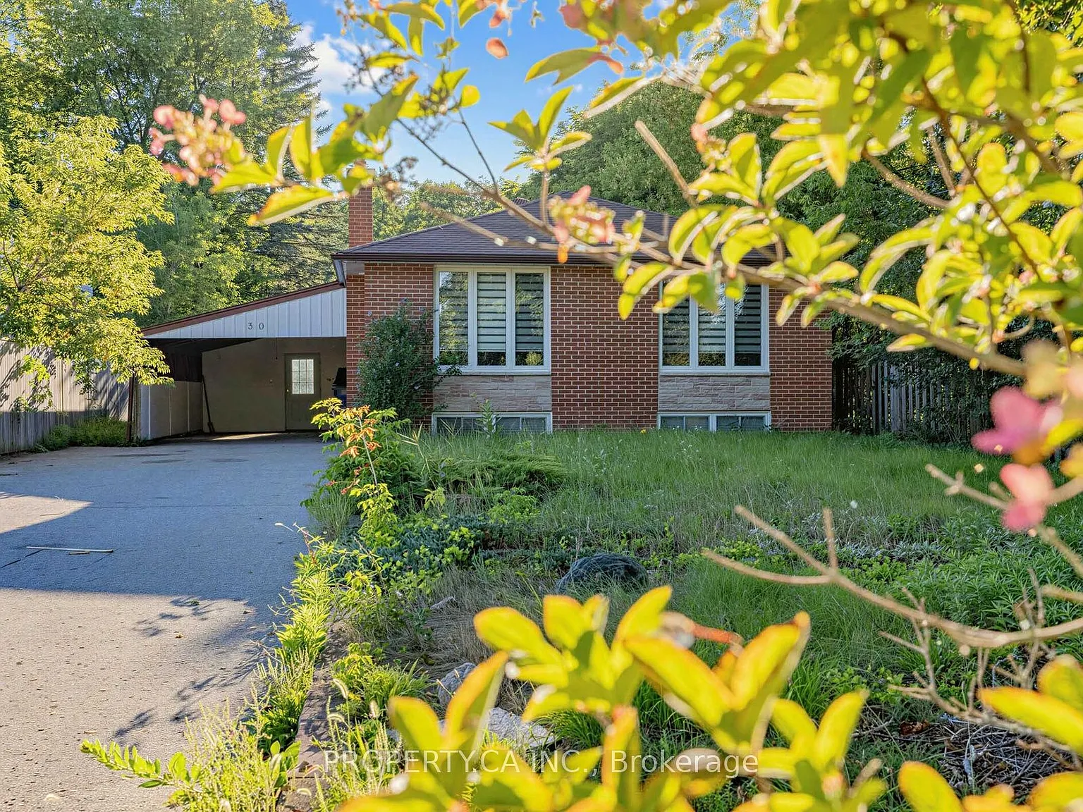 4 bed, $3,000 — Photo 1