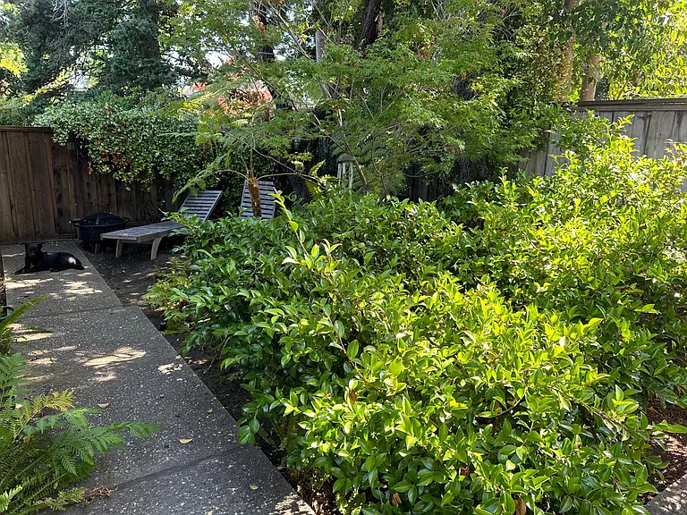 754 De Soto Dr — Photo 13