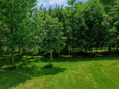 6328 Boyers Mill Rd, New Market, MD, 21774