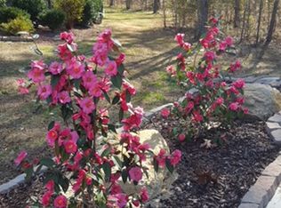 170 Churchill Rd, Louisburg, NC 27549